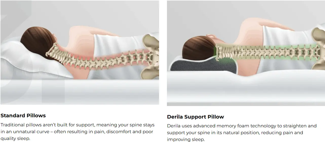 Derila Pillow Customers